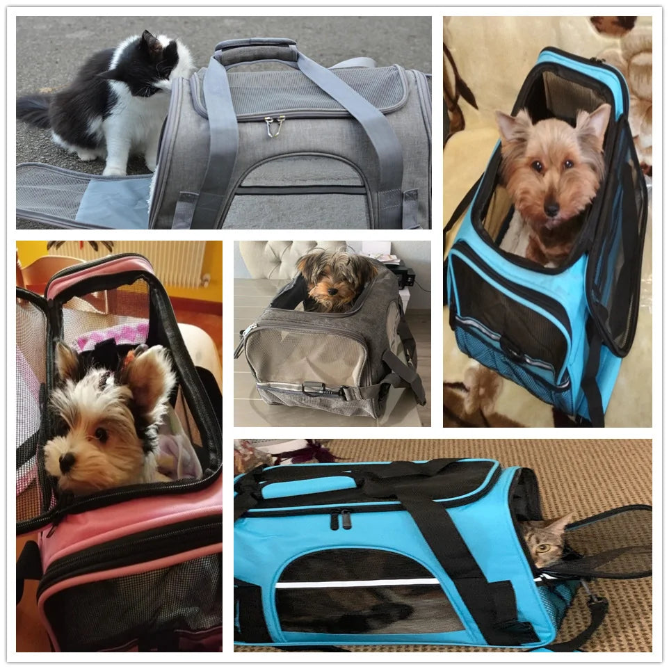 Pet Messenger Carrier Travel Bag - Steffashion