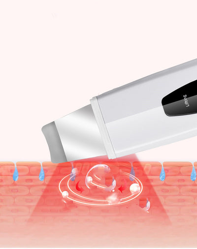 Ultrasonic ion skin cleanser